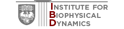 IBD
